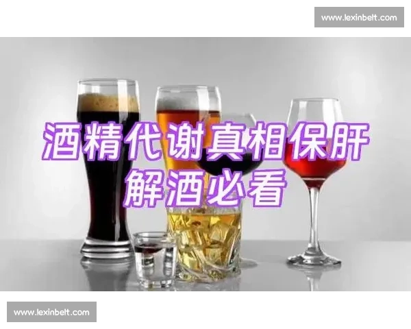 围绕能量补给优化人体状态与提升日常活力的科学策略指南