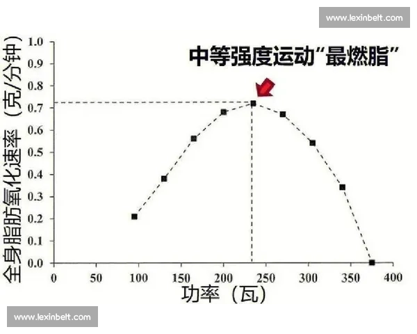 科学减脂训练全攻略：燃脂塑形提升体能与代谢效率