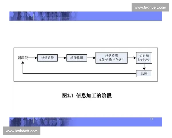 以听觉刺激为核心探究人类神经反应与认知加工机制研究