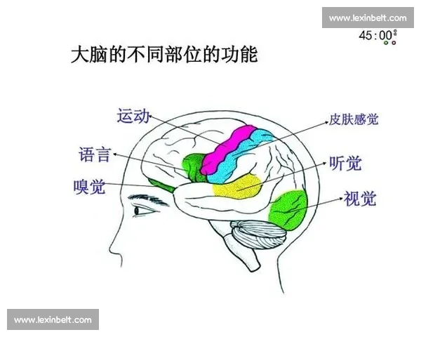科学运动与日常保健结合的全方位伤病预防策略指南